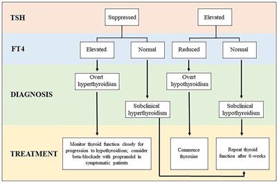 Immune Related Adverse Events of the Thyroid – A Narrative Review